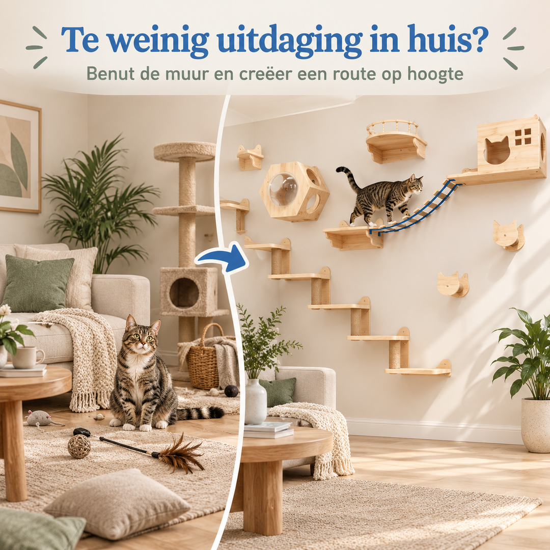 Restipaw® Katten Klimwand | Meer avontuur zonder vloeroppervlak te verliezen