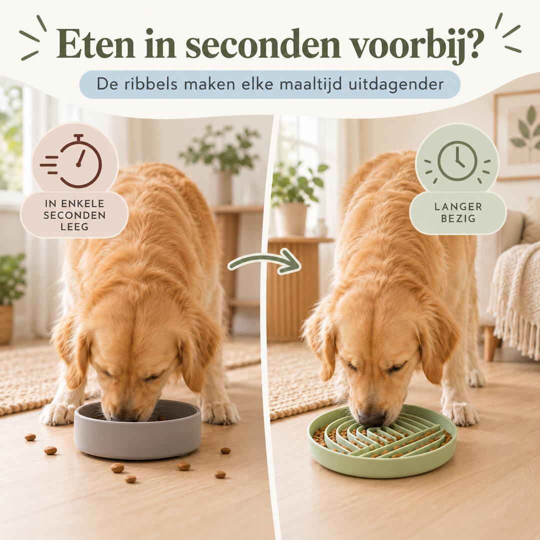 Restipaw® Slowfeeder | Van schrokken naar rustiger eten