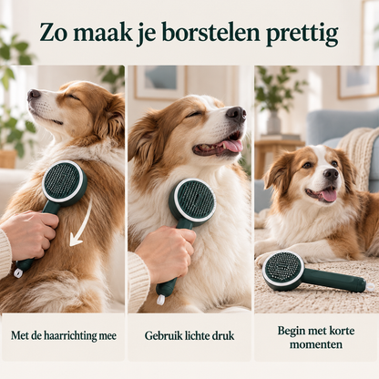 Restipaw® Zelfreinigende Vachtborstel met infrarood licht | Minder losse haren, minder rommel